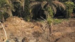 Diduga Kelola PETI Pakai 2 Excavator,Di Dusun Batang Lobung Warga Minta APH Tangkap MRN | Newstv Indonesia