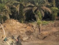 Diduga Kelola PETI Pakai 2 Excavator,Di Dusun Batang Lobung Warga Minta APH Tangkap MRN