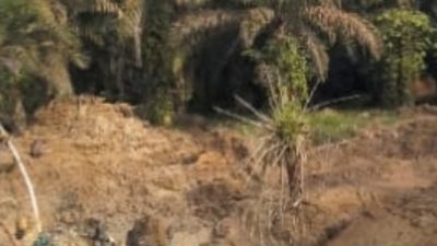 Diduga Kelola PETI Pakai 2 Excavator,Di Dusun Batang Lobung Warga Minta APH Tangkap MRN | Newstv Indonesia
