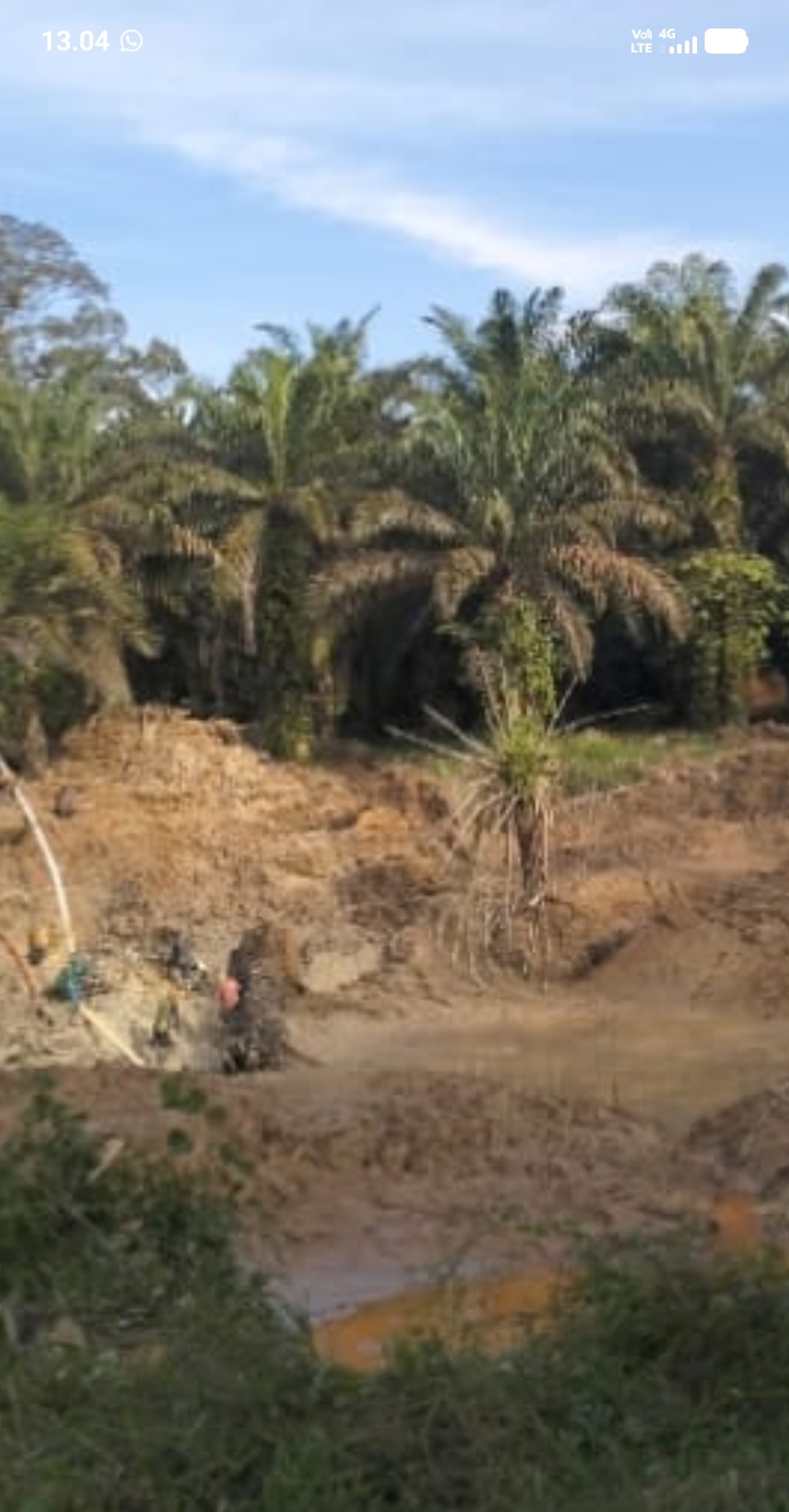 Diduga Kelola PETI Pakai 2 Excavator,Di Dusun Batang Lobung Warga Minta APH Tangkap MRN | Newstv Indonesia