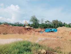 Donfeng di Razia Puluhan Excavator di Eks Lokasi PT M3 Pulo Padang Lingga Bayu diduga Dibiarkan,Ada Apa Dengan APH dan Satgas PETI???