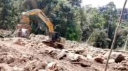 Diduga Aktivitas PETI Aeknabara Ranto Baek Mulus Karena Ada Setoran,Desak Gubsu Periksa Oknum Dinas Kehutanan