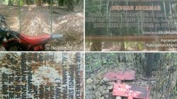 Diduga Tak Kantongi Izin, PTPN lV Kebun Timur di Batahan Disorot Warga Terobos Tapal Batas KPH?