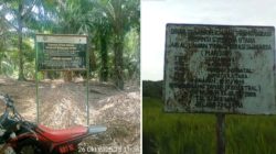 Diduga Puluhan Tahun Tanpa HGU dan Jarah Hutan Lindung, PTPN lV Kebun Timur Kecamatan Batahan Madina Didesak Diproses Hukum | Newstv Indonesia
