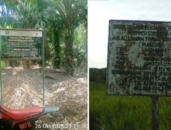 Diduga Puluhan Tahun Tanpa HGU dan Jarah Hutan Lindung, PTPN lV Kebun Timur Kecamatan Batahan Madina Didesak Diproses Hukum