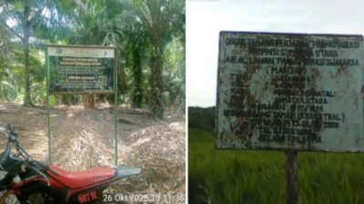 Diduga Puluhan Tahun Tanpa HGU dan Jarah Hutan Lindung, PTPN lV Kebun Timur Kecamatan Batahan Madina Didesak Diproses Hukum | Newstv Indonesia