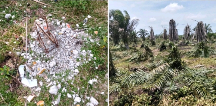 Perkara Sengketa Lahan Sawit Masih Banding,Patok Batas Desa Diduga Dirusak dan Tanaman Sawit Dirusak | Newstv Indonesia