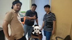 Tak Berkutik! A.D.N. Diamankan Resmob Tamalate dalam Kasus Dugaan Pencurian Kabel | Newstv Indonesia