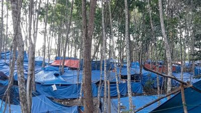 Dua Warga Sopo Batu Diduga Dikeroyok di Lokasi PETI Kilo 2 Hutabargot, Korban Luka luka, Minta Kapolres Madina Usut Tuntas | Newstv Indonesia