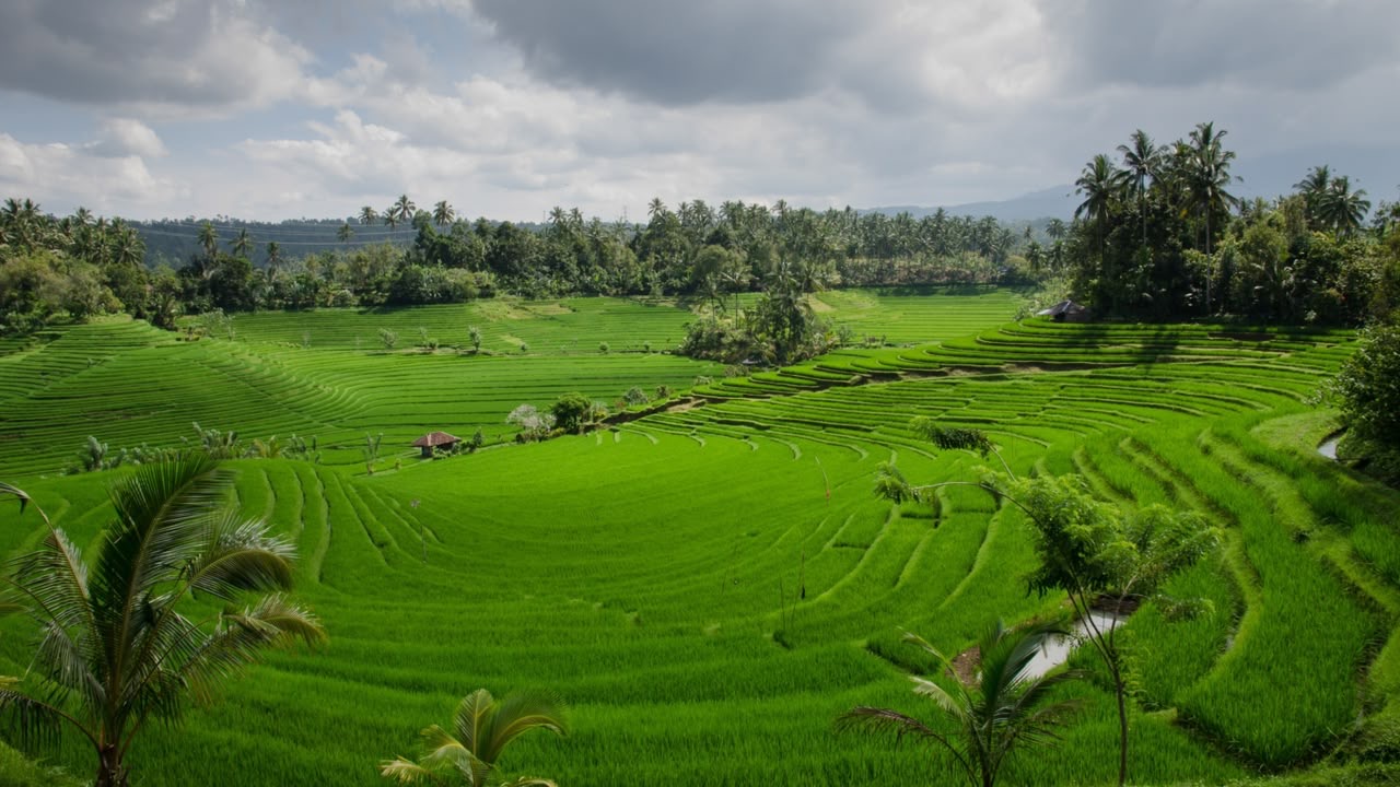 Lampaui Target, LP2B Capai 87,63% di Momen Peringatan 66 Tahun UUPA | Newstv Indonesia