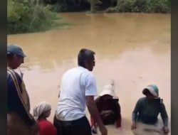 Viral Emak emak Mendulang di Lingga Bayu Diduga Settingan,Toke PETI Inisial B Bayar Rp 15 Juta,7 Pasal Berlapis Dilanggar, Terancam 10 Tahun Penjara & Denda 10 Milliar